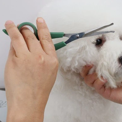 ความสำคัญของการใช้กรรไกรตัดขนสัตว์เลี้ยง